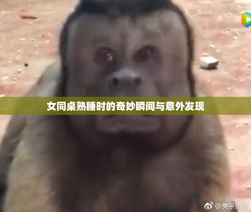 女同桌熟睡时的奇妙瞬间与意外发现