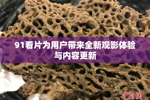 91看片为用户带来全新观影体验与内容更新