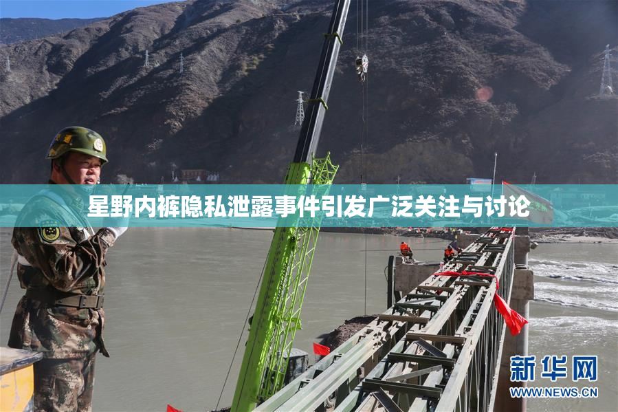 星野内裤隐私泄露事件引发广泛关注与讨论