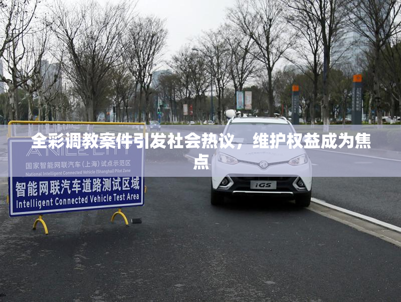 全彩调教案件引发社会热议，维护权益成为焦点