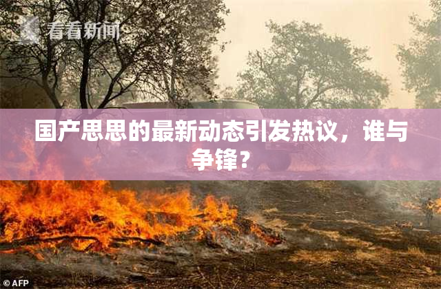 国产思思的最新动态引发热议，谁与争锋？