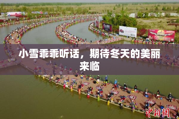 小雪乖乖听话，期待冬天的美丽来临