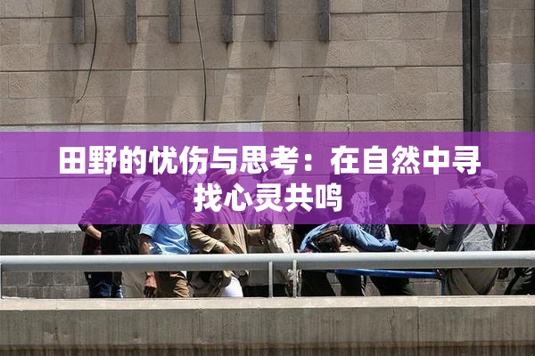 田野的忧伤与思考：在自然中寻找心灵共鸣