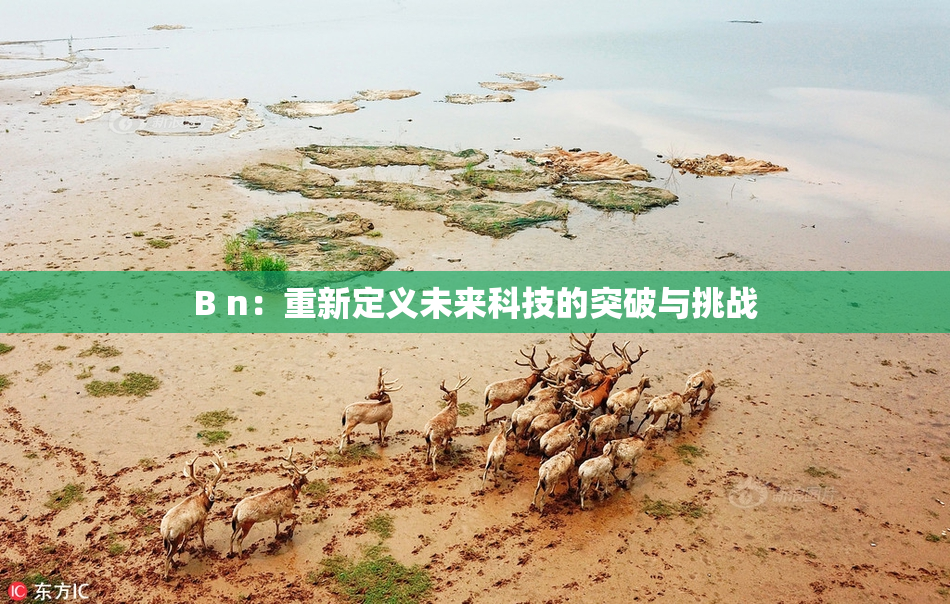 B n：重新定义未来科技的突破与挑战