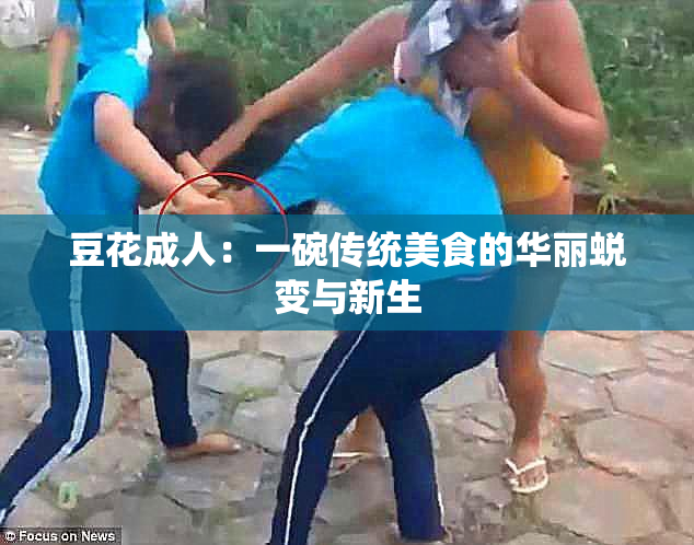 豆花成人：一碗传统美食的华丽蜕变与新生