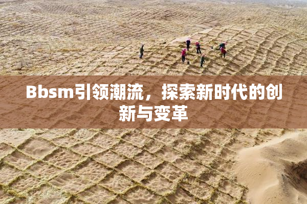 Bbsm引领潮流，探索新时代的创新与变革