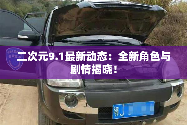 二次元9.1最新动态：全新角色与剧情揭晓！