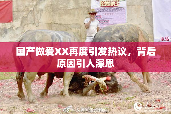 国产做爰XX再度引发热议，背后原因引人深思