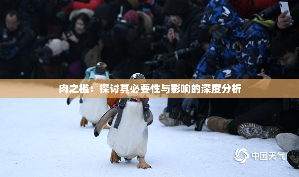 肉之槛：探讨其必要性与影响的深度分析