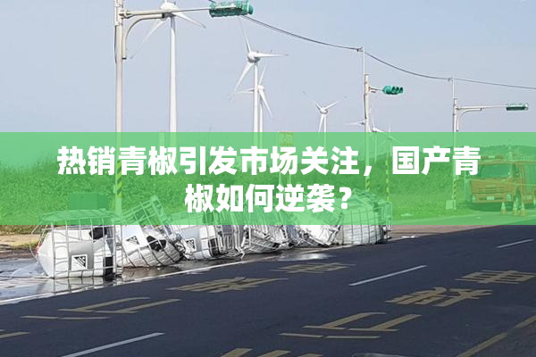 热销青椒引发市场关注，国产青椒如何逆袭？