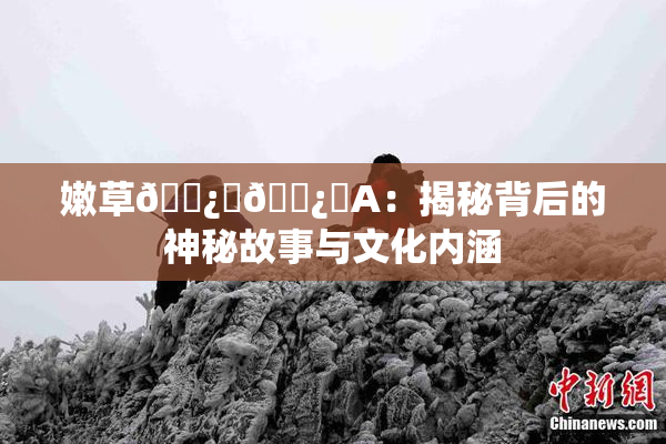 嫩草🌿‌🌿‌A：揭秘背后的神秘故事与文化内涵
