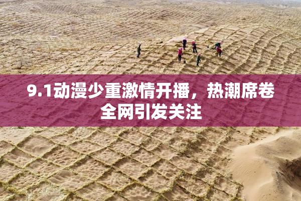 9.1动漫少重激情开播，热潮席卷全网引发关注