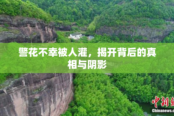 警花不幸被人灌，揭开背后的真相与阴影