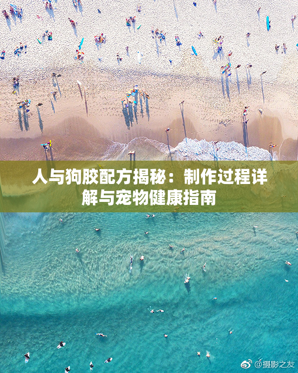 人与狗胶配方揭秘：制作过程详解与宠物健康指南