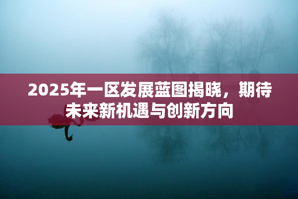 2025年一区发展蓝图揭晓，期待未来新机遇与创新方向
