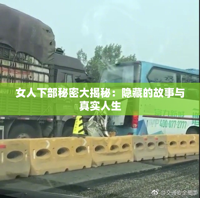 女人下部秘密大揭秘：隐藏的故事与真实人生