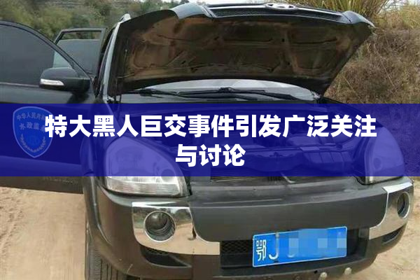 特大黑人巨交事件引发广泛关注与讨论