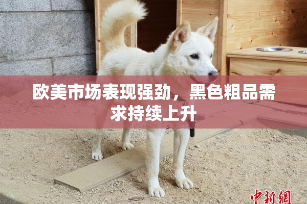 欧美市场表现强劲，黑色粗品需求持续上升