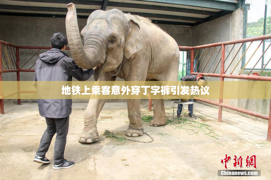 地铁上乘客意外穿丁字裤引发热议