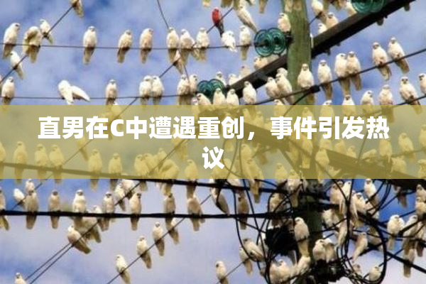 直男在C中遭遇重创，事件引发热议