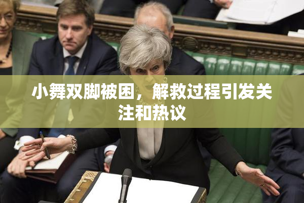 小舞双脚被困，解救过程引发关注和热议