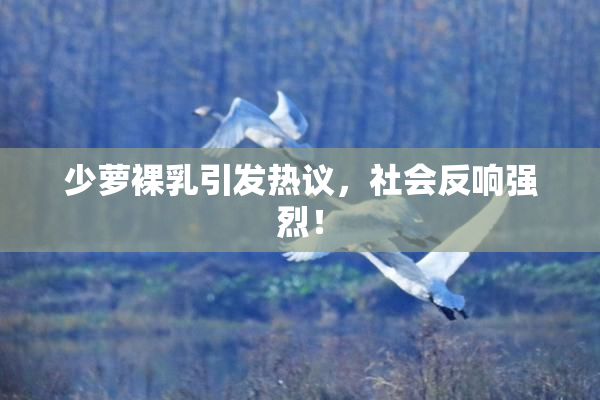少萝裸乳引发热议，社会反响强烈！