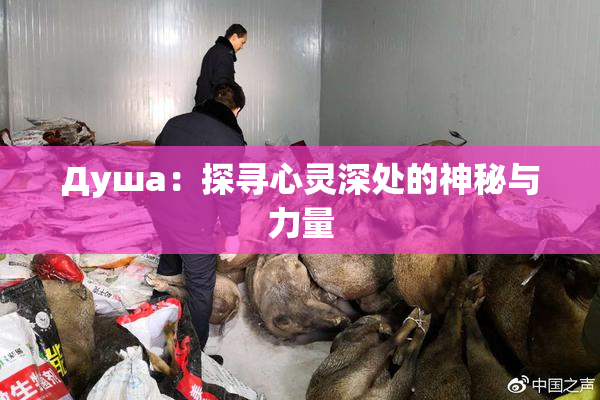 Душа：探寻心灵深处的神秘与力量