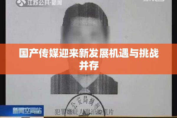 国产传媒迎来新发展机遇与挑战并存