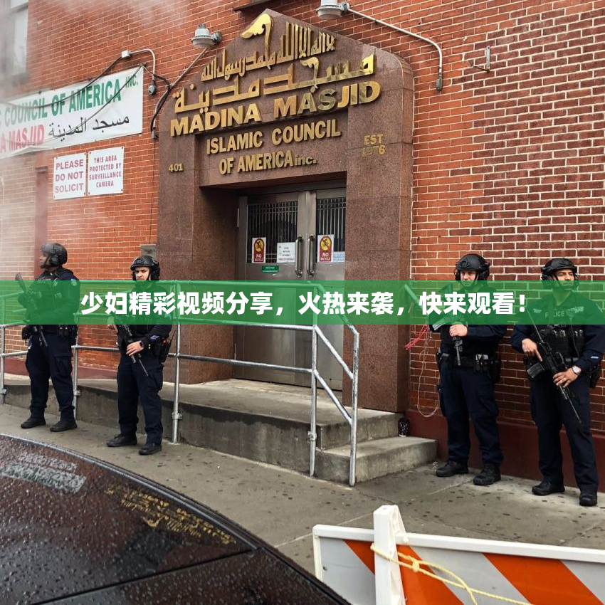少妇精彩视频分享，火热来袭，快来观看！