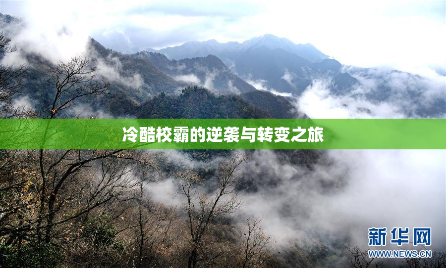 冷酷校霸的逆袭与转变之旅
