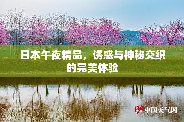 日本午夜精品，诱惑与神秘交织的完美体验