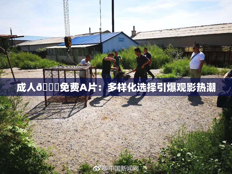 成人🔞免费A片：多样化选择引爆观影热潮