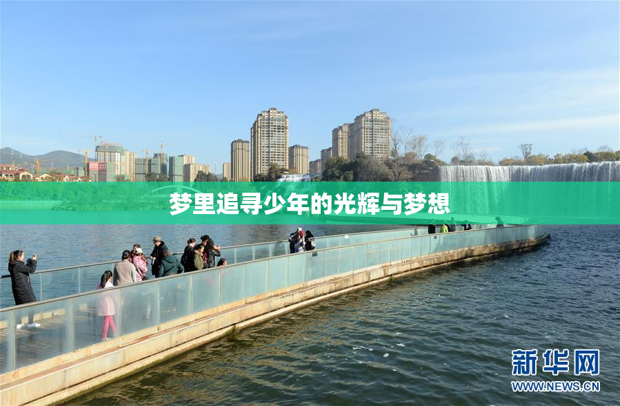 梦里追寻少年的光辉与梦想