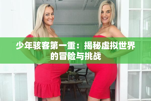 少年骇客第一重：揭秘虚拟世界的冒险与挑战