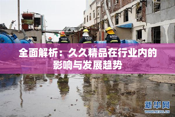 全面解析：久久精品在行业内的影响与发展趋势