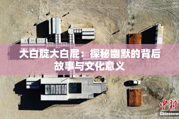 大白腚大白屁：探秘幽默的背后故事与文化意义