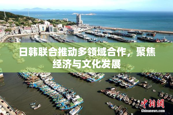 日韩联合推动多领域合作，聚焦经济与文化发展