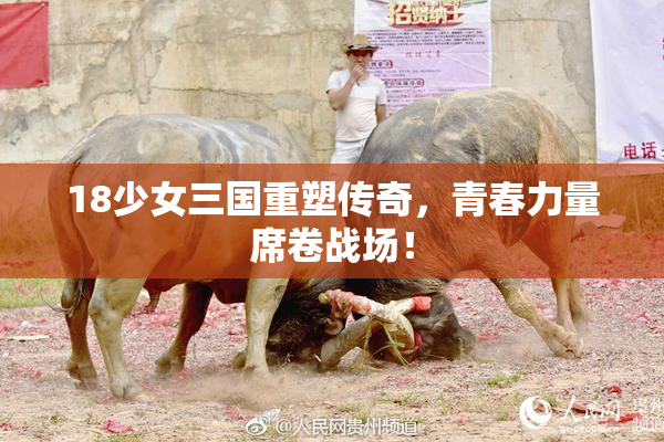18少女三国重塑传奇，青春力量席卷战场！