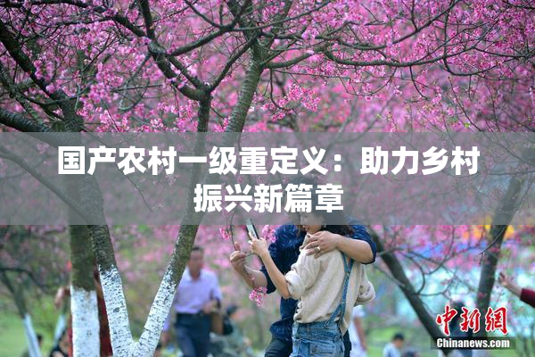 国产农村一级重定义：助力乡村振兴新篇章
