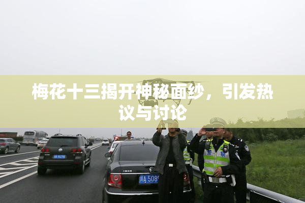 梅花十三揭开神秘面纱，引发热议与讨论