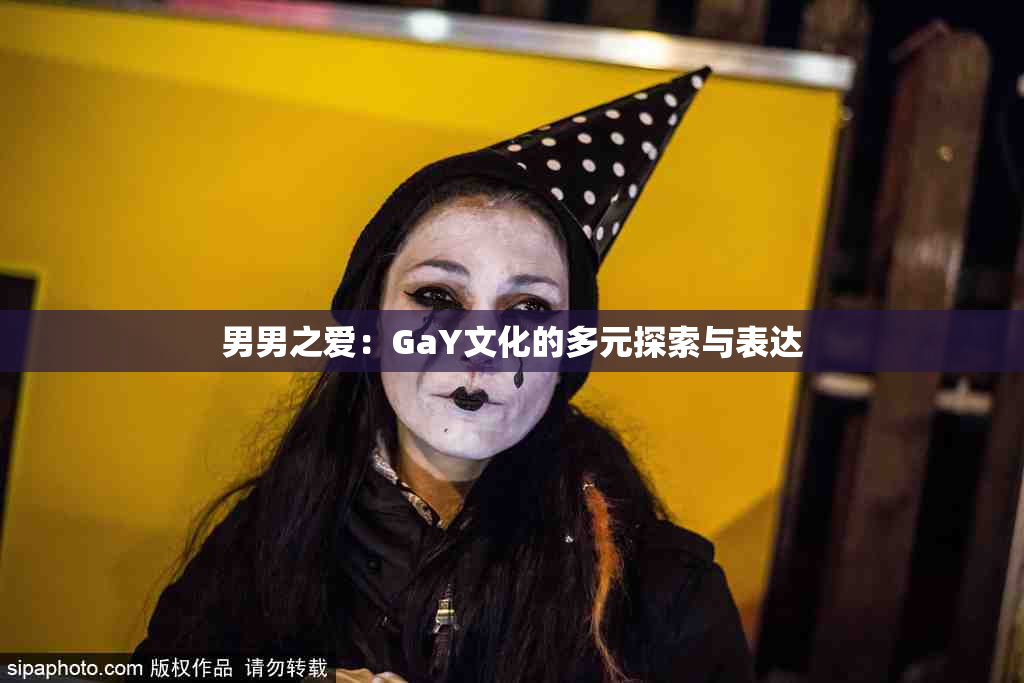 男男之爱：GaY文化的多元探索与表达