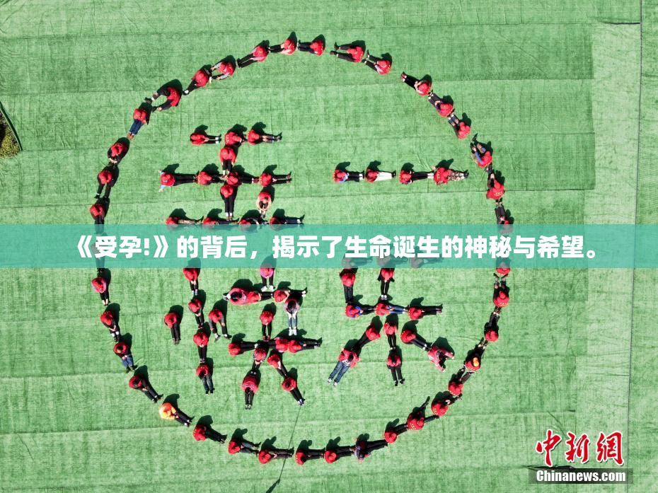 《受孕!》的背后，揭示了生命诞生的神秘与希望。