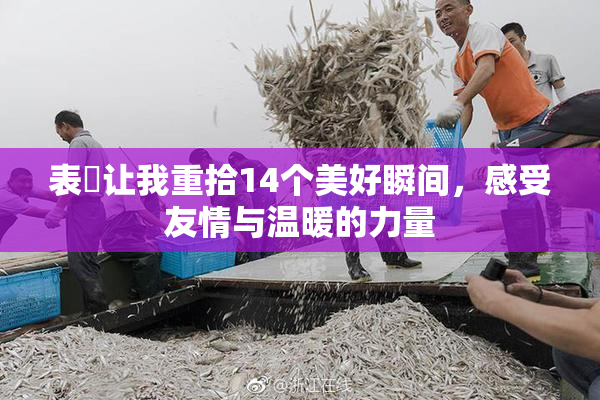 表妺让我重拾14个美好瞬间，感受友情与温暖的力量