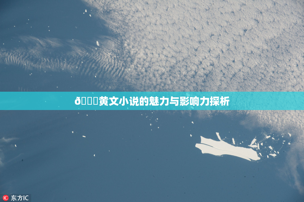 🔞黄文小说的魅力与影响力探析