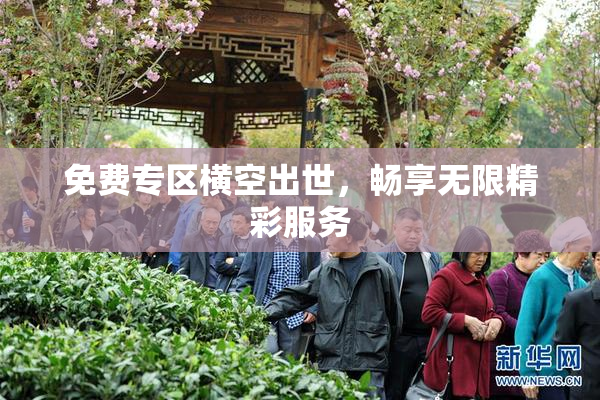 免费专区横空出世，畅享无限精彩服务