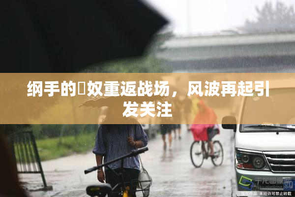 纲手的婬奴重返战场，风波再起引发关注