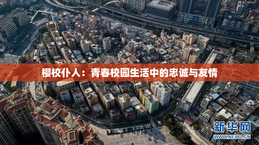樱校仆人：青春校园生活中的忠诚与友情
