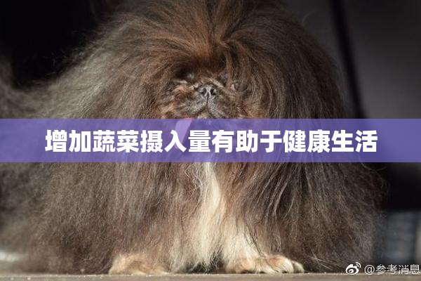 增加蔬菜摄入量有助于健康生活