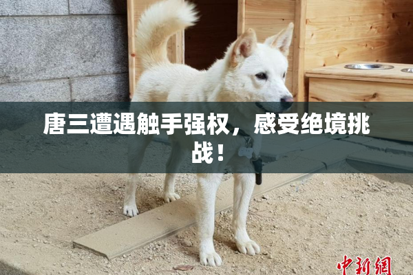 唐三遭遇触手强权，感受绝境挑战！