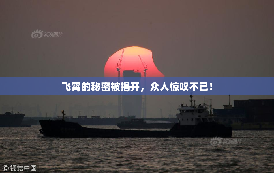 飞霄的秘密被揭开，众人惊叹不已！